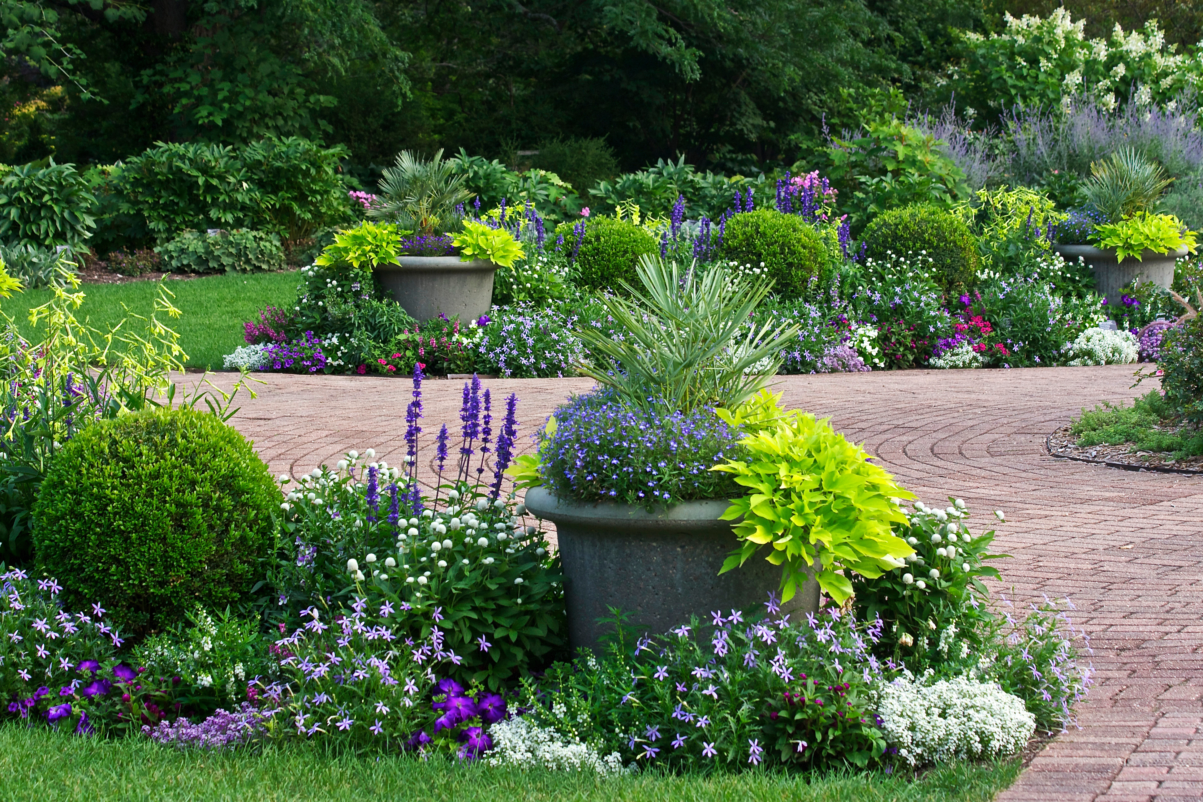 summer garden background.